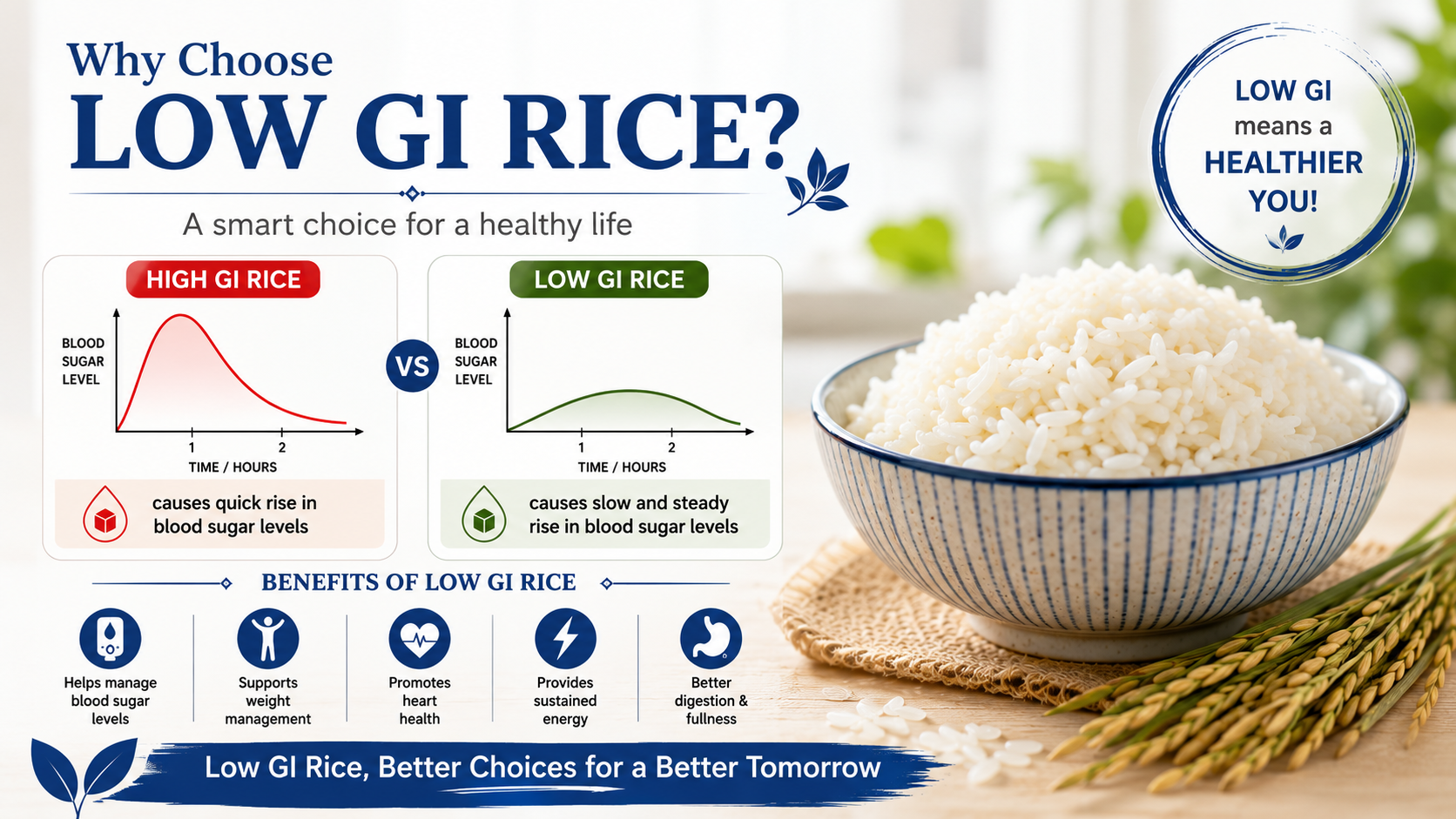 BNR Diabetic Rice Low GI < 51.5 Rice